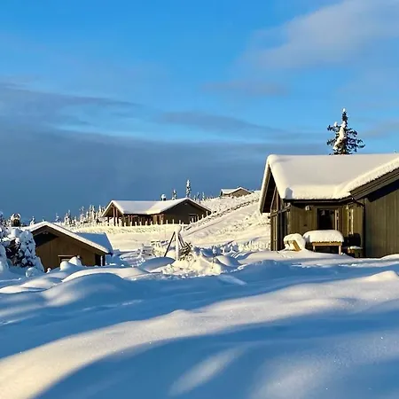 Vakantiehuis Brand New Cabin At Skeikampen Slaseterlia